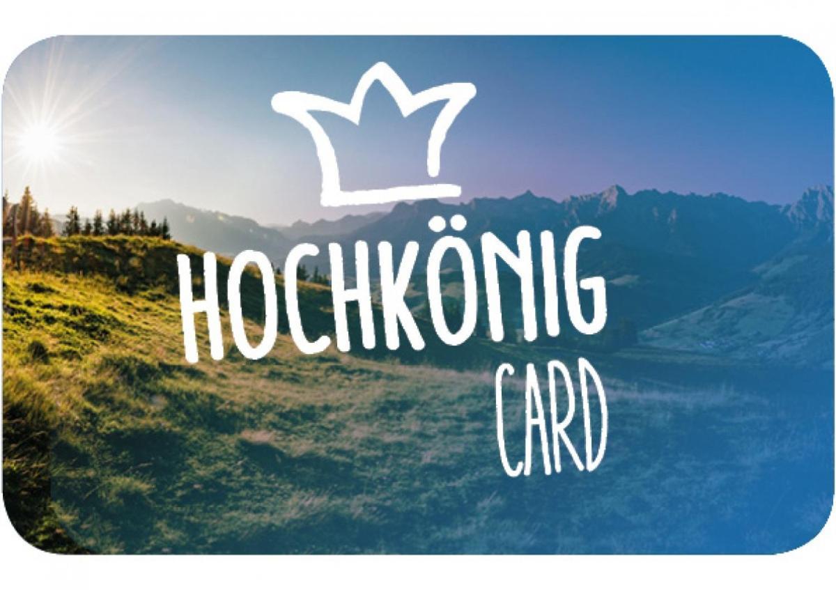 Апартаменты Haus Schneeberg Mit Hochkoenig Card Мюльбах Экстерьер фото