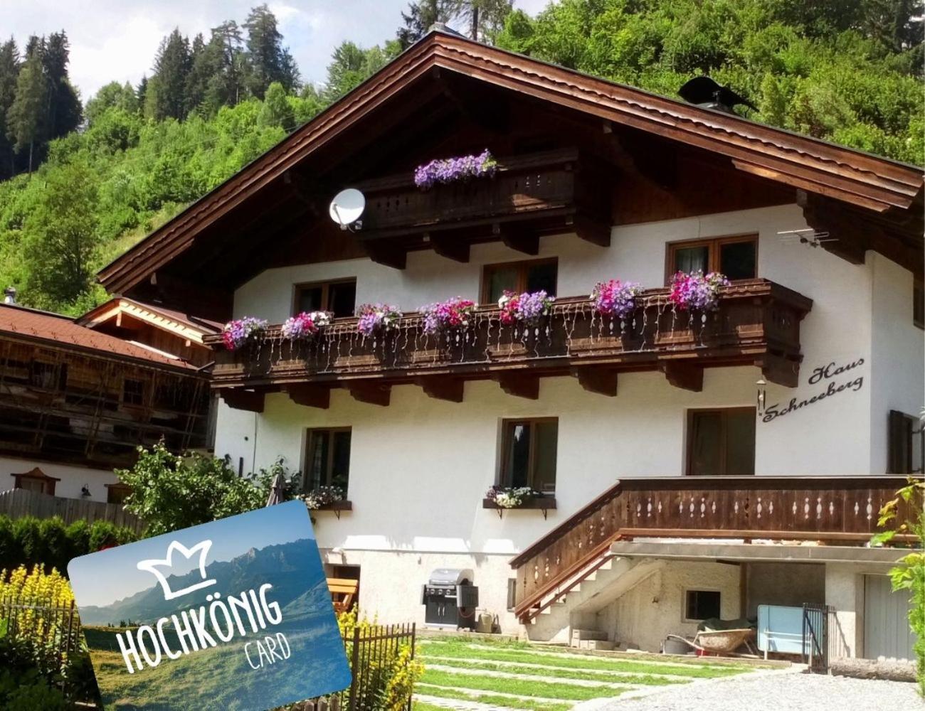 Апартаменты Haus Schneeberg Mit Hochkoenig Card Мюльбах Экстерьер фото